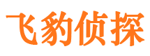 沙坡头婚外情调查取证